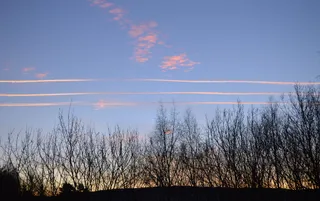 天空，天景，树，植物，宁静，自然之美，宁静的景色，自然