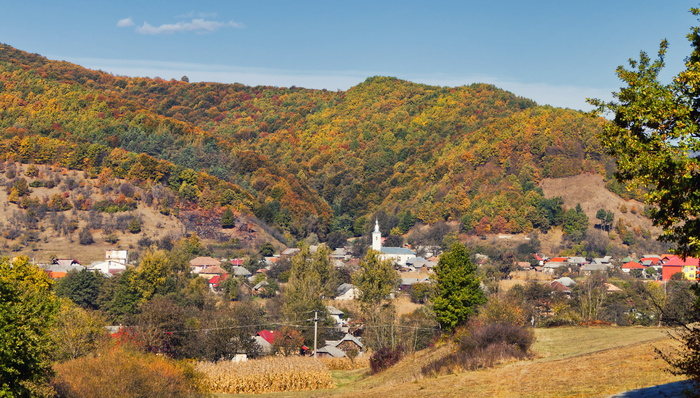 秋天，风景，自然，秋天，森林，户外，公园，风景
