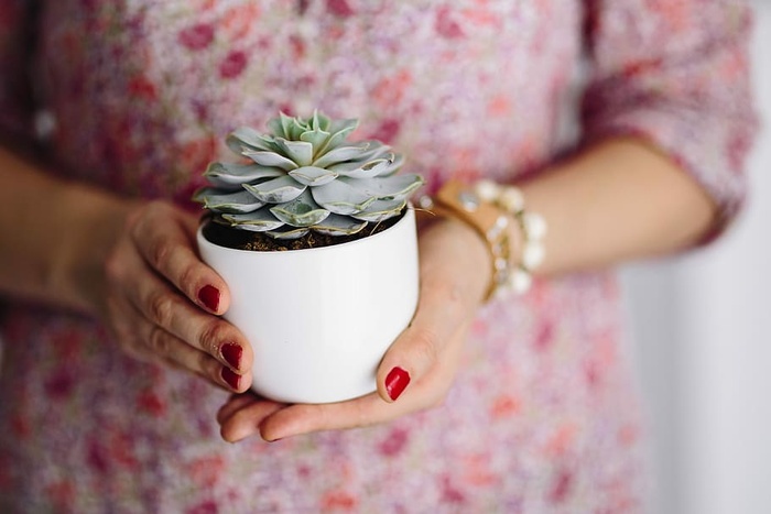 穿着粉红色衣服的女人拿着杂项物品