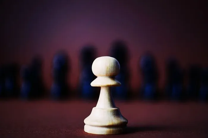 特写照片，棋子，棋子，棋子，游戏，黑，白，棋子