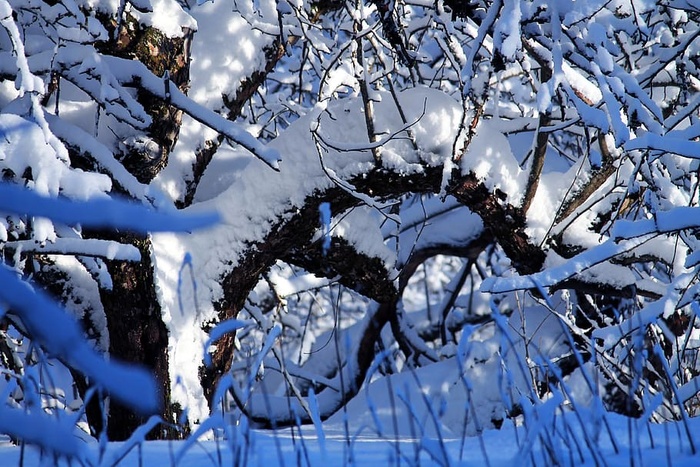 户外、冰、自然、雪、冬天、芬兰、埃斯波、莱帕瓦拉