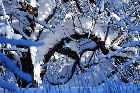户外、冰、自然、雪、冬天、芬兰、埃斯波、莱帕瓦拉 户外、冰、自然、雪、冬天、芬兰、埃斯波、莱帕瓦拉