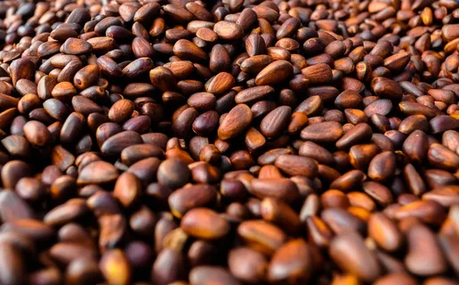 咖啡豆，松子，松果，圆锥形，自然，天然，种子，坚果