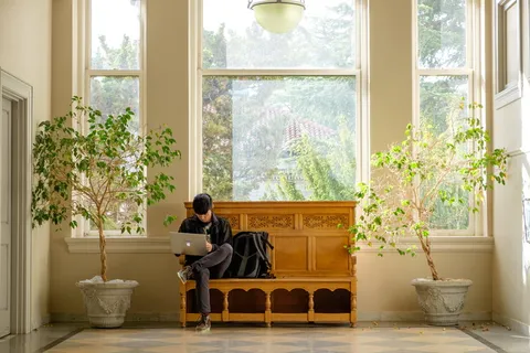 伯克利，美国，加利福尼亚大学图书馆，坐着，笔记本电脑，工作，兰斯，大学