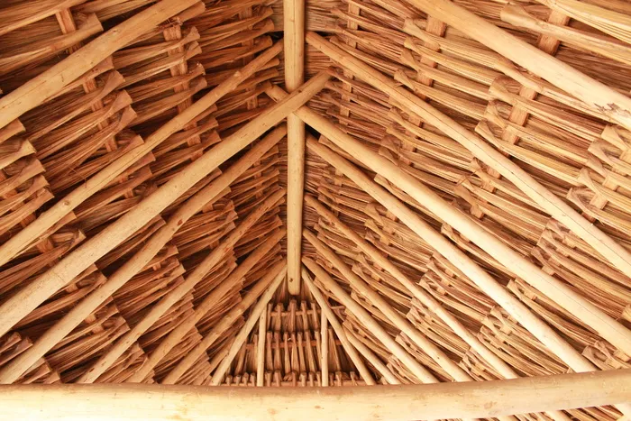 屋顶、树枝、建筑、房屋、建筑、木材、木材、建筑
