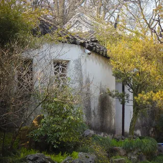 户外、自然、植物、树木、建筑、乡村、树干、乡村