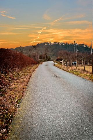 秋天，秋天，日落，道路，灰色，冬天，风景，自然