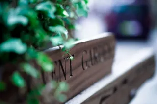 植物，文字，陶器，罐子，花瓶，盆栽，花盆，户外