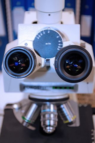 白色显微镜，显微镜，白色，化学，显微镜，昂贵，立体，工具