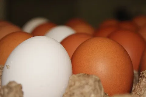 鸡蛋,鸡肉,鸡蛋,食物,营养,复活节,还有春天 鸡蛋,鸡肉,鸡蛋,食物,营养,复活节,还有春天