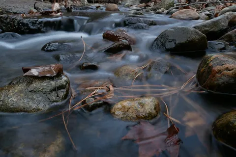 Okanagan, 自然, 秋天, 小溪, 叶子, 针, 闪闪发光, 水 Okanagan, 自然, 秋天, 小溪, 叶子, 针, 闪闪发光, 水