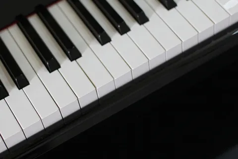 钢琴, 象牙, 合成器, 乌木, 声音, 乐器, 音乐, 音乐设备 钢琴, 象牙, 合成器, 乌木, 声音, 乐器, 音乐, 音乐设备