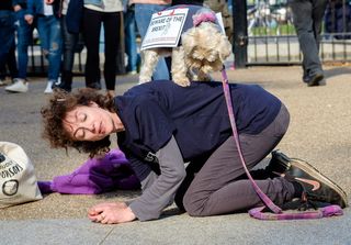 一名女子跪在水泥地面上，背着宠物狗