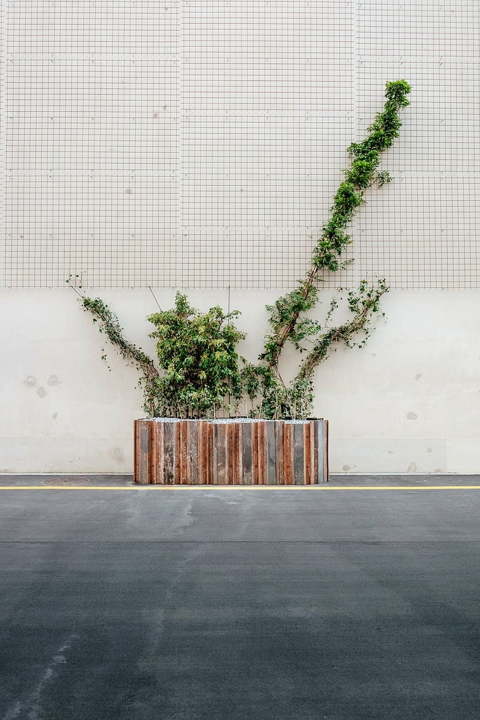 植物箱，植物，道路，墙壁，植物，建筑，没有人，树