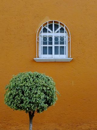 简单、树枝、叶子、植物、快乐、装饰、装饰、风格化