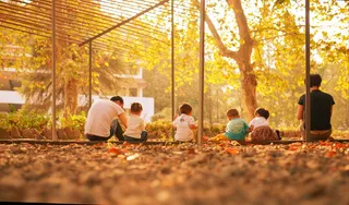 莫干山麓的，秋天的，孩子们的，一群人的，坐着的，聚在一起的，树上的，男人们的
