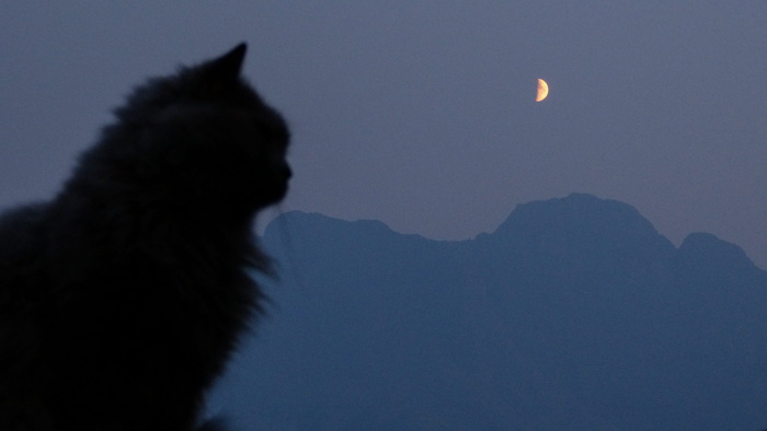 加拿大、坎摩尔、蓝色、灰色、紫色、封面、阿尔伯塔、落基山脉