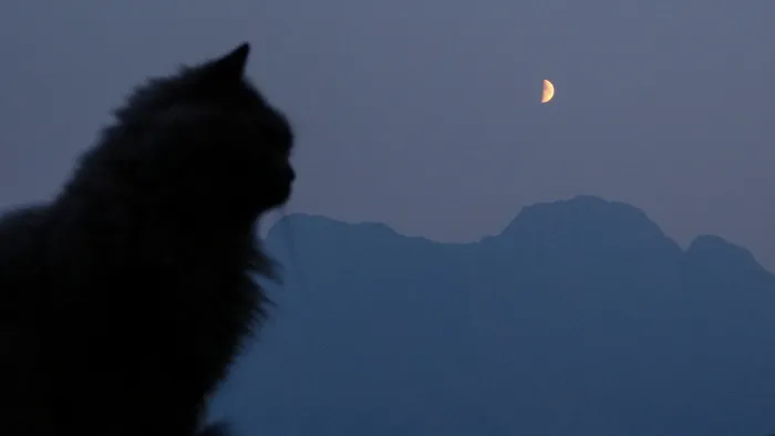 加拿大、坎摩尔、蓝色、灰色、紫色、封面、阿尔伯塔、落基山脉