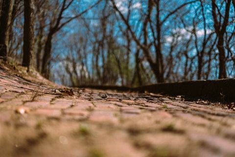 美国，eau claire，树，砖路，小径，春天，地面，砖路