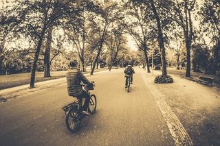 成人、长凳、自行车、自行车、骑自行车、儿童、骑自行车者、团体