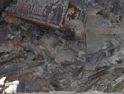 集体坟墓,头骨,骨头,死亡,恐怖,恐怖,地下室,普通坟墓 集体坟墓,头骨,骨头,死亡,恐怖,恐怖,地下室,普通坟墓