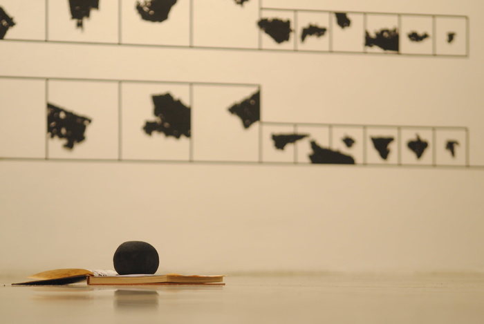 鸟，博物馆，白色，室内，无人，桌子，木质材料，静物