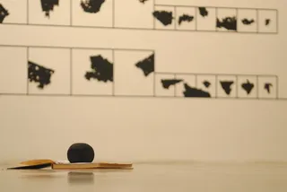 鸟，博物馆，白色，室内，无人，桌子，木质材料，静物