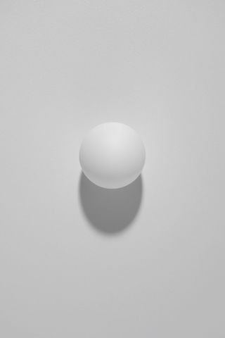 工作室拍摄, 幸福, 健康饮食, 室内, 食物和饮料, 复制空间, 没有人, 餐饮