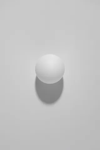 工作室拍摄, 幸福, 健康饮食, 室内, 食物和饮料, 复制空间, 没有人, 餐饮