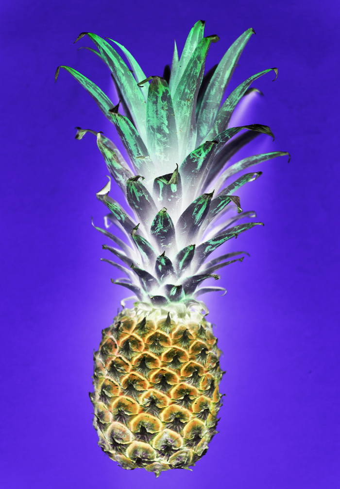 菠萝剪贴画