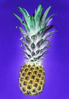 菠萝剪贴画 菠萝剪贴画
