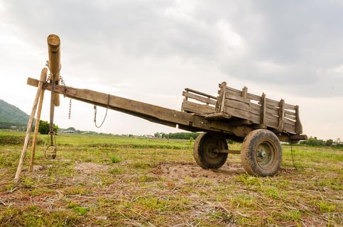 汽车、奶牛、雷雨、颈部、汽车奶牛、乡村、户外、航运 汽车、奶牛、雷雨、颈部、汽车奶牛、乡村、户外、航运