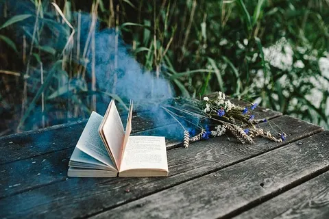 彩色烟雾弹、书籍和老式相机