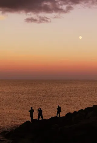 钓鱼，大海，黎明，风景，海滩，云朵，海岸，海岸