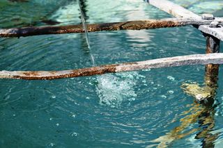 水源，水，蓝色，玻璃，当然，水晶，自然，白天