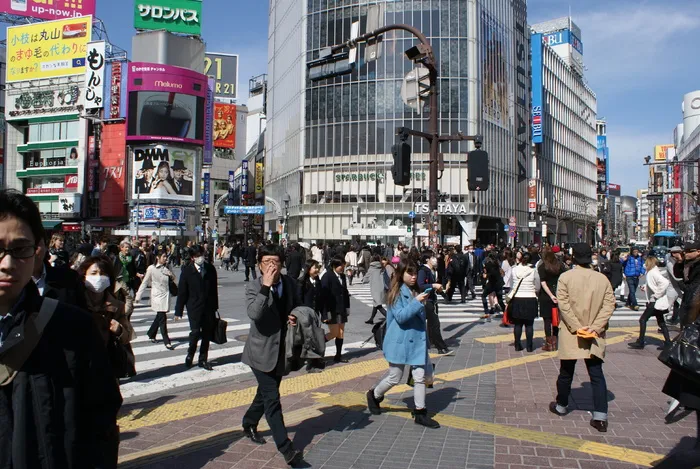东京、涉谷、路口、道路、交通、城市、亚洲、道路系统