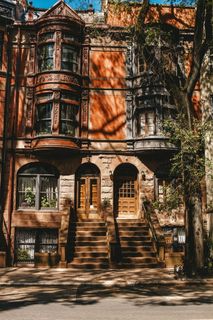 白天屋前的绿树