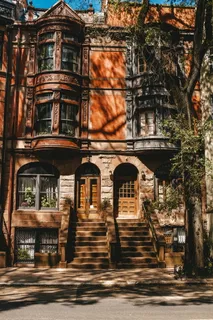 白天屋前的绿树