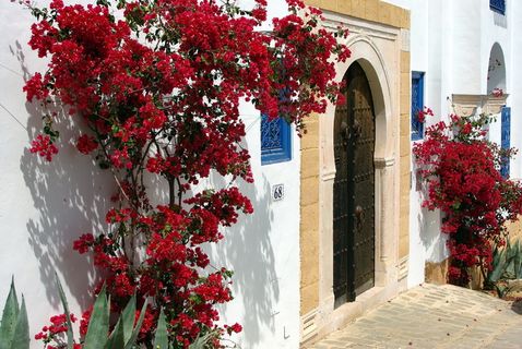 黑色木门，突尼斯，Sidi Bou Saïd，布干维尔，大门，宁静，海边，红色