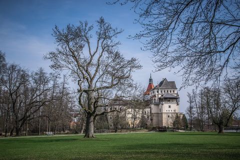 公园，春天，树木，城堡，风景，树木，植物，建筑结构