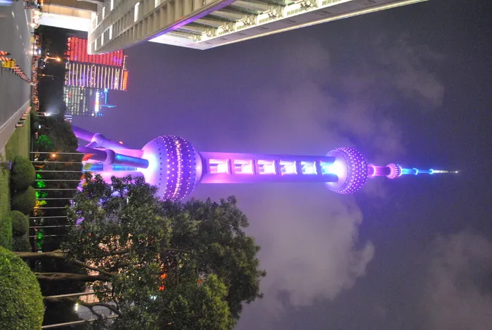 中国，东方明珠电视塔，上海，东方明珠塔，照明，夜晚，树木，植物