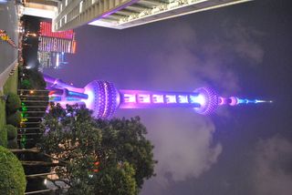 中国，东方明珠电视塔，上海，东方明珠塔，照明，夜晚，树木，植物