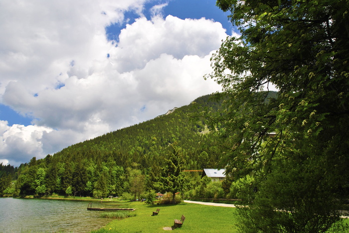 湖，山，风景，水，伯杰湖，意大利，格尔森基兴，鸟