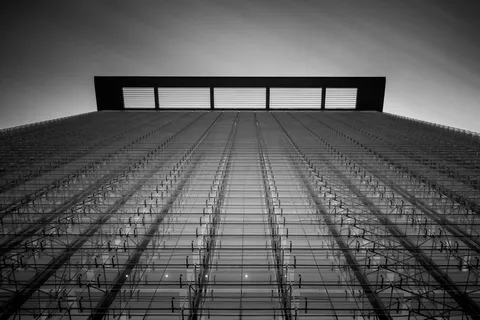 黑色和灰色线条插图 黑色和灰色线条插图