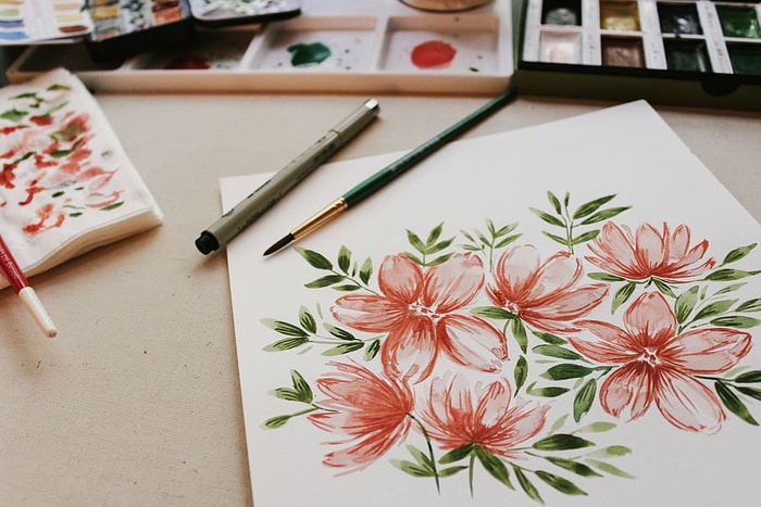 花，粉色，花瓣，花朵，花园，植物，自然，秋天