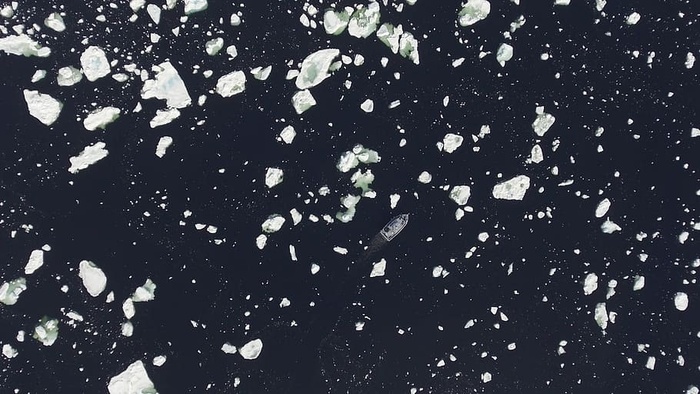 海洋中的冰图片