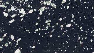 海洋中的冰图片