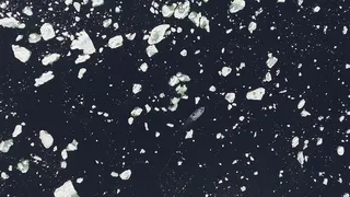 海洋中的冰图片