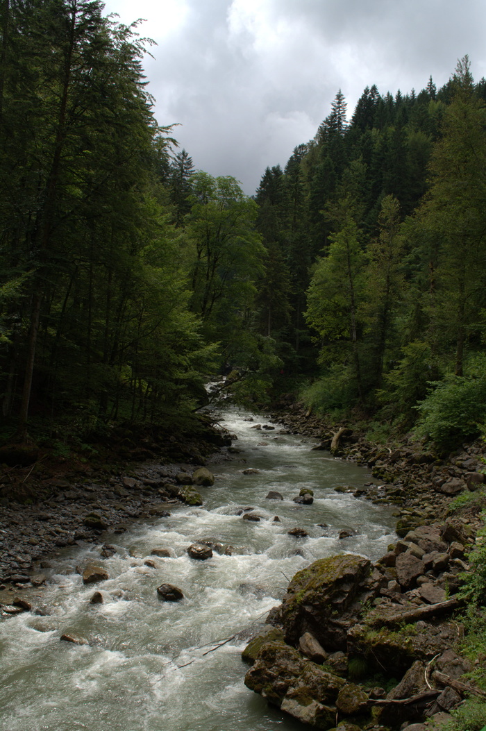 broad brook clammy，allgäu，clammy，broad brook，kleinwalsertal，river，bach，rock