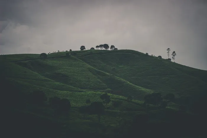 青草山